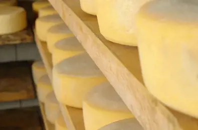 Traditional ripened cheese