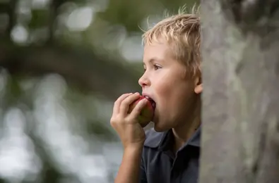 Kids’ nutrition