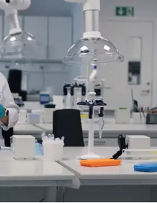 Research & Development
